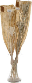 B-DECOR בוקט פרחים יבשים MAIZY flower (קרטון מעורב)