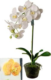 B-DECOR עציץ סחלב סיליקון 63 ס"מ צבע כתום