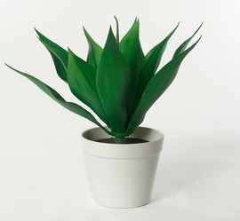 B-DECOR עציץ אלוורה 30 ס"מ PRO