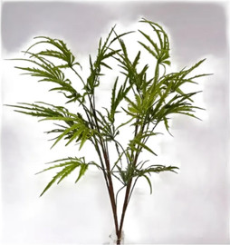 B-DECOR בוקט שרך Spray בגודל 100*35  בצבע ירוק