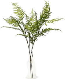 B-DECOR גבעול ענפים שרכאים 100 ס"מ