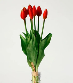 B-DECOR בוקט טוליפ 6 פרחים 40 ס"מ