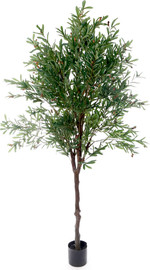 B-DECOR עץ זית 240 ס"מ