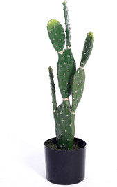 B-DECOR קקטוס בר 62 ס"מ