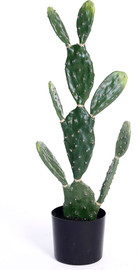 B-DECOR קקטוס בר 82 ס"מ