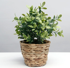B-DECOR עציץ חבל עלים ירוקים 35x14