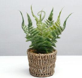 B-DECOR עציץ חבל עלים ירוקים 27x12