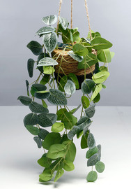 B-DECOR עציץ חבל עלים נשפך