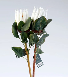 B-DECOR פרח פרוטיאה לבן 68 ס"מ