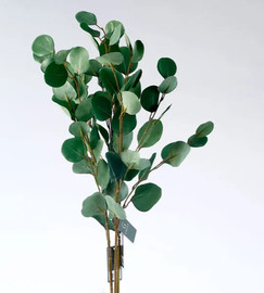 B-DECOR ענף אקליפטוס 90 ס"מ ירוק