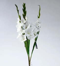 B-DECOR גבעול פרחים סייפן 93 ס"מ לבן