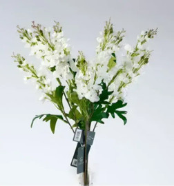 B-DECOR ענף של דורבנית לבן 78 ס"מ