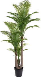 B-DECOR עציץ עץ דקל מלאכותי 35 עלים 200cm