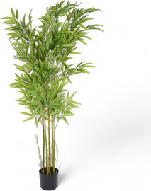 B-DECOR עץ במבוק ענק מלאכותי (180 ס"מ) בעל נוכחות עבותה ומרגיעה