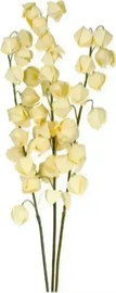 B-DECOR גבעול פעמוני יוקה צהובים 83 ס"מ
