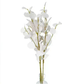 B-DECOR ענף עלי אקליפטוס דולר כסף 84 ס"מ