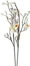 B-DECOR גבעול פרחי מגנוליה צהוב 123 ס"מ