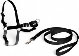My Pet Pharm רתמה EASYWALK | מידה S