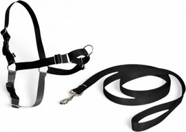My Pet Pharm רתמה EASYWALK | מידה M\L