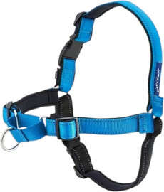 My Pet Pharm רתמה EASYWALK | מידה M