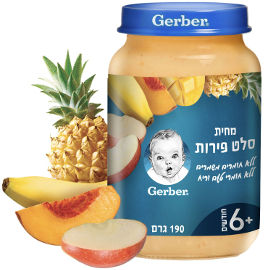 גרבר מחית סלט פירות