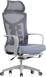 Ergonix כסא מנהלים ארגונומי Ergonix ארגוניקס Apex Pro - אפור