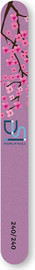 DSI Exclusive פצירה מקצועית ישרה רב־פעמית דו־צדדית מארז 12 יח׳ Straight File