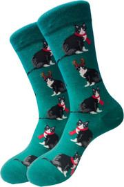 My Socks גרביים מעוצבים חתול עם צעיף אדום