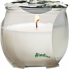 PETALI CANDLES נר פטאלי כוס בריח יסמין