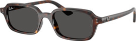 Ray-Ban RBS 4455 135987 49M