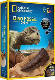 National Geographic ערכת חפירה וארכיאולוגיה שיני טי-רקס (T-Rex) - National Geographic