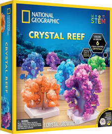National Geographic ערכת יצירה מקריסטל - שונית - National Geographic