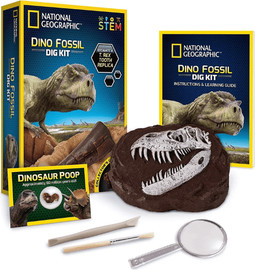 טוי סטור ערכת חפירה שיני National Geographic T REX