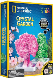 National Geographic ערכת מדע לילדים: מגדלים גינת קריסטלים