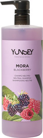 Yunsey שמפו בניחוח אוכמניות לכל סוגי השיער YUNSEY