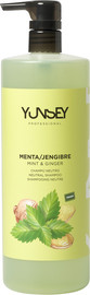 Yunsey שמפו בניחוח מנטה-ג'ינג'ר לכל סוגי השיער YUNSEY