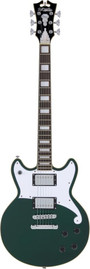 D'angelico גיטרה חשמלית + נרתיק PREMIER BRIGHTON SHERWOOD GREEN