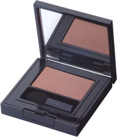 ESTEE LAUDER PURE COLOR ENVY צללית 26