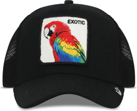 Goorin EXOTICAW כובע מצחייה עם פאץ