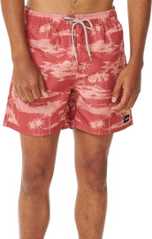 RIP CURL DREAMERS VOLEY apple butter בגד ים לגברים