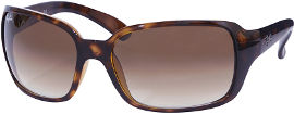 Ray-Ban *יבוא מקביל משקפי שמש, דגם 4068 צבע 710/51 מידה 60