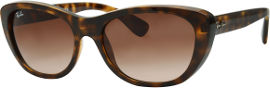 Ray-Ban *יבוא מקביל משקפי שמש, דגם 4227 צבע 710/13 מידה 55