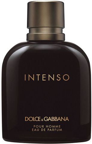 intend dolce & gabbana