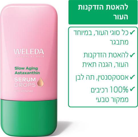 שום יבש ארוז תוצרת סין