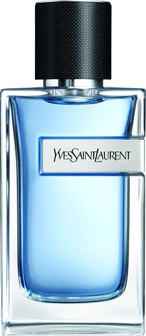 the y in ysl