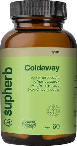 ביצים 18 גדול